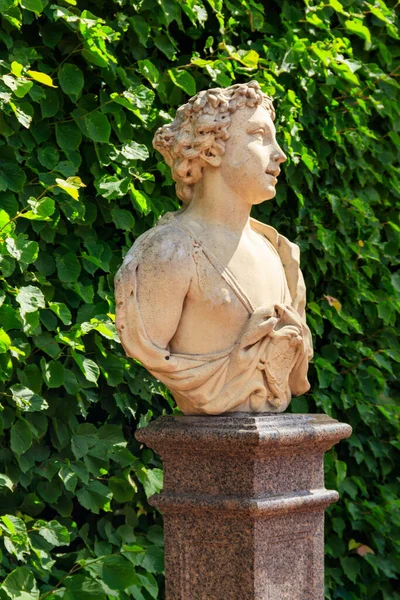 Symbolic Marble Bust June Catherine Park Tsarskoye Selo Pushkin Russia — Stock Photo, Image