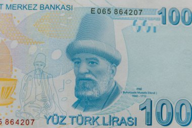 100 lira banknotun makro çekimi.