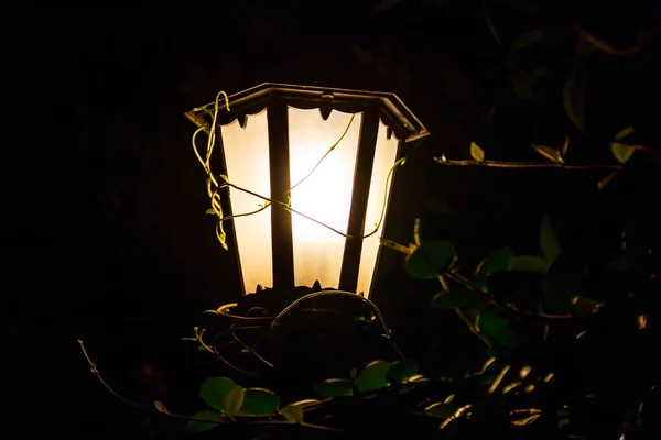 Lighted Vintage Street Lantern Night — Stock Photo, Image