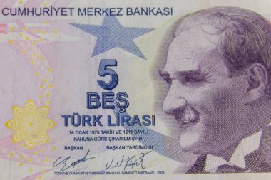 Beş Türk lira banknotunun makro çekimi.