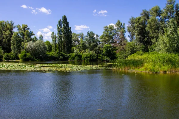 Beau Lac Été — Photo