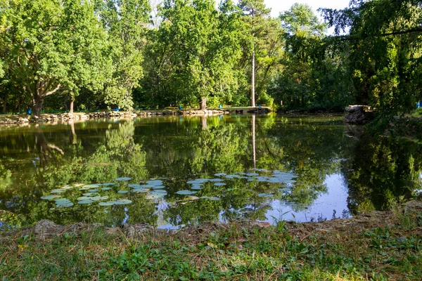 Kalm Meer Het Groene Park Zomer — Stockfoto