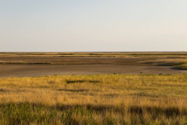 Ukrayna 'daki Sivash Gölü manzarası