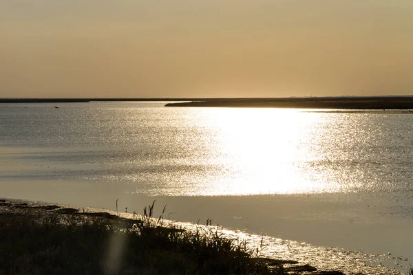 Vue Sur Lac Sivash Ukraine — Photo