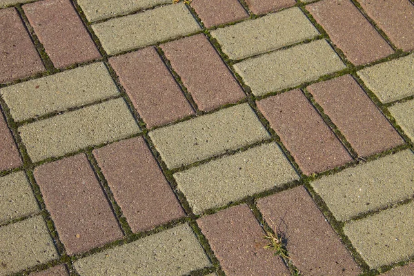 Sidewalk Texturierten Hintergrund Detail Eines Pflasters — Stockfoto