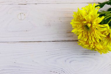 Beyaz ahşap arka planda sarı kasımpatılar. Üst görünüm, alanı kopyala