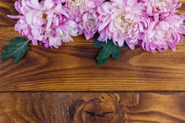 Ahşap arka planda güzel kasımpatılar. Üst görünüm, alanı kopyala