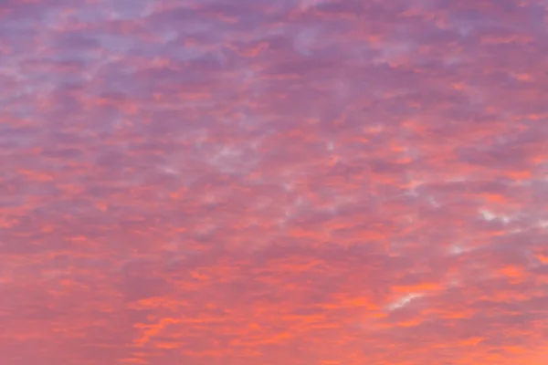 Vacker Rosa Soluppgång Himmel Naturlig Bakgrund — Stockfoto