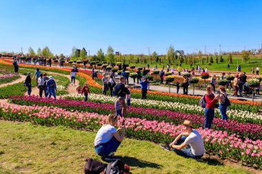 Kiev bölgesi, Ukrayna - 10 Mayıs 2021: İnsanlar fotoğraf çekiyor, selfie çekiyor ve Ukrayna 'nın Kiev bölgesindeki Dobropark parkında lalelerle çiçeklikler arasında yürüyor