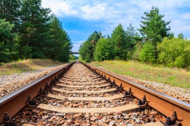 Yeşil bir çam ormanının içinden geçen tren yolu.