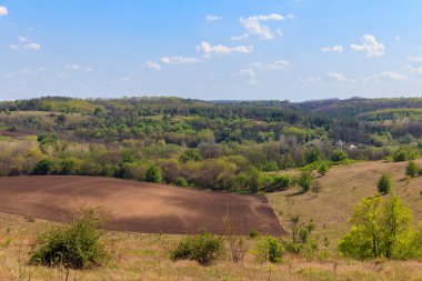 Yeşil ağaçlar, çayırlar, tarlalar ve mavi gökyüzü ile ilkbahar manzarası