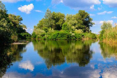 Güzel bir nehir, yeşil ağaçlar ve mavi gökyüzü olan yaz manzarası