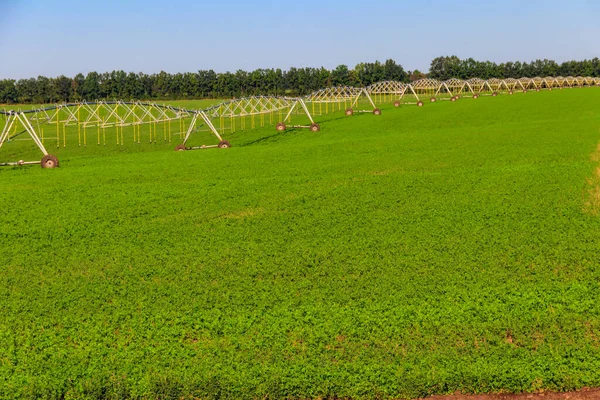 フィールド内の大規模農業灌漑システム — ストック写真