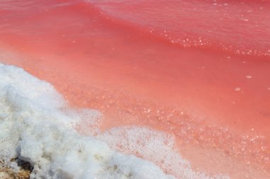 Ukrayna 'nın Kherson bölgesindeki pembe tuzlu Syvash gölünün yüzeyi. Doğal arkaplan, doku