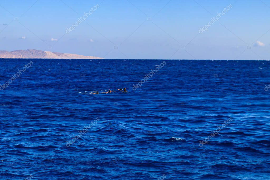 Grupo de personas haciendo snorkel sobre el arrecife de coral en el Mar