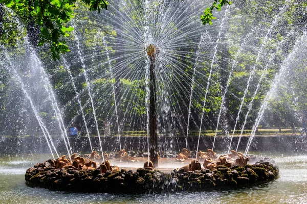 Sankt Petersburg Ryssland Juni 2019 Fontänen Solen Peterhofs Nedre Park — Stockfoto