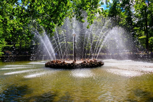 Sankt Petersburg Ryssland Juni 2019 Fontänen Solen Peterhofs Nedre Park — Stockfoto