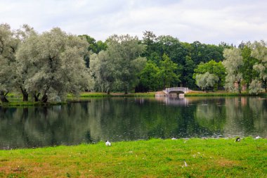 Gatchina, Rusya 'daki bir parkta eski köprüsü olan göl.
