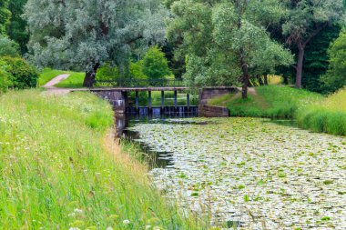 Rusya 'nın Pavlovsk parkındaki Slavyanka nehri üzerindeki siyah köprü barajı.