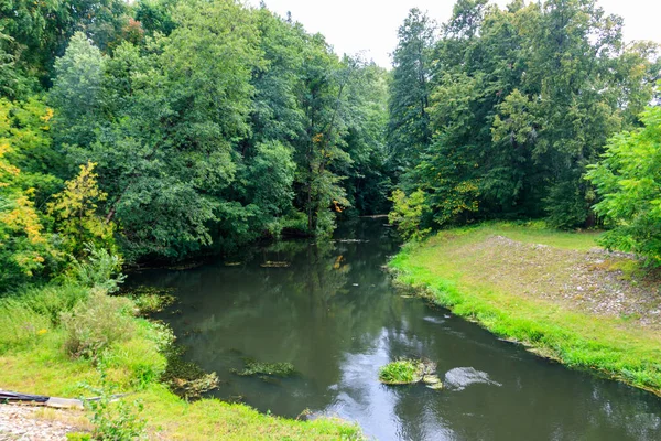 Malá Řeka Zeleném Lese — Stock fotografie