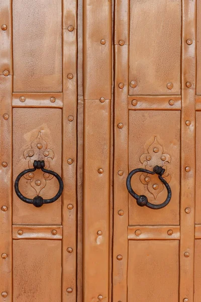 Close Old Iron Brown Door — Stock Photo, Image