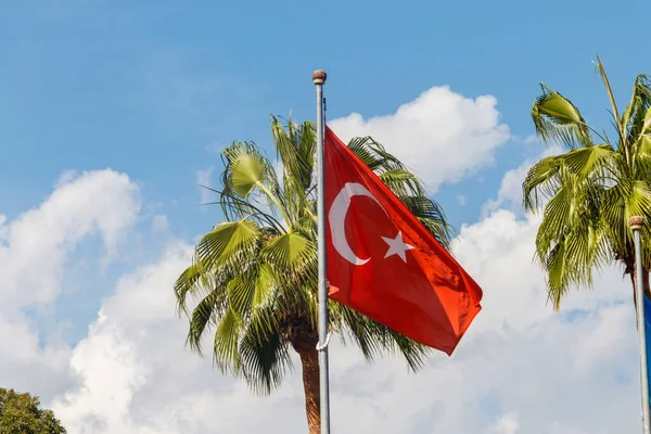 Bandera Ondeante Turquía Palmeras Contra Cielo Azul — Foto de Stock