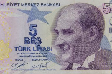 Beş Türk lira banknotunun makro çekimi.