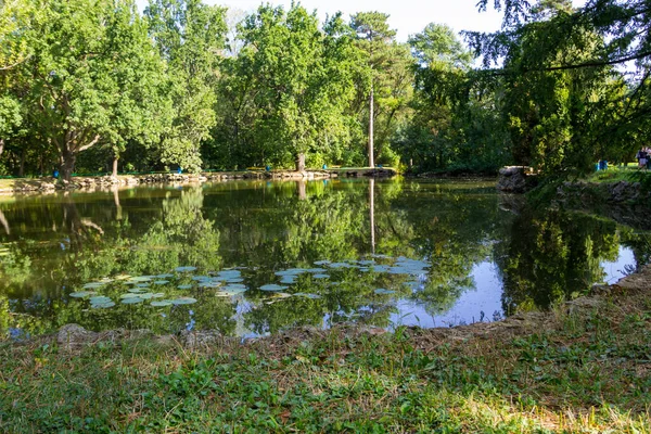 Kalm Meer Het Groene Park Zomer — Stockfoto