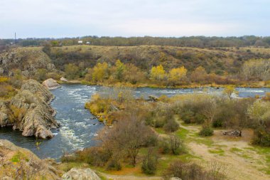Güney Nehri Böceği Ukrayna 'da sonbaharda