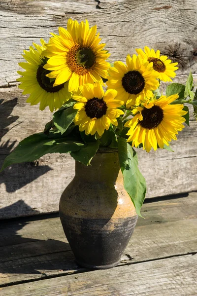 Sunflowers Vintage Clay Jug Wooden Background — Stock Photo, Image