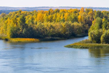 Nehir kenarındaki renkli sonbahar ağaçları. Sonbahar manzarası