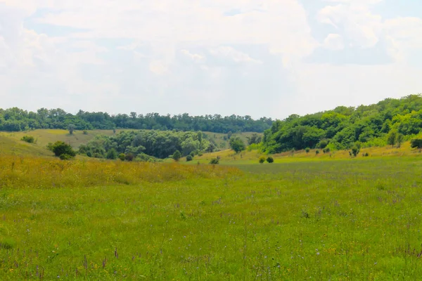 Paesaggio Estivo Con Prato Alberi Colline — Foto Stock