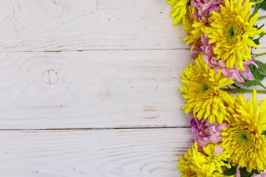Beyaz ahşap arka planda güzel kasımpatılar. Üst görünüm, alanı kopyala