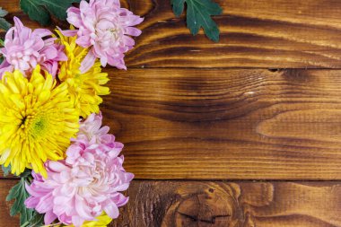 Ahşap arka planda güzel kasımpatılar. Üst görünüm, alanı kopyala