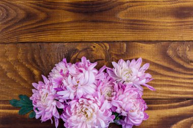 Ahşap arka planda güzel kasımpatılar. Üst görünüm, alanı kopyala