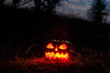 Korkunç cadılar bayramı balkabağı balkabağı balkabağı kabağı geceleri korkunç ormanda mum yakıyor.