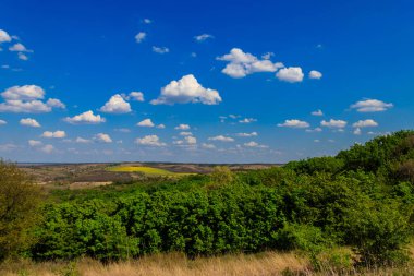 Yeşil ağaçlar, çayırlar, tarlalar ve mavi gökyüzü ile ilkbahar manzarası
