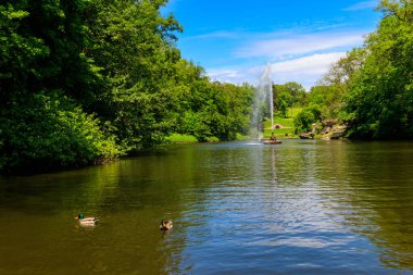 Uman, Ukrayna 'daki Sofiyivka Parkı' nda Yılan Çeşmesi ile bir göl manzarası