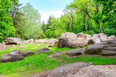 Uman, Ukrayna 'daki Sofiyivka parkı manzarası