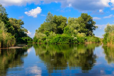 Güzel bir nehir, yeşil ağaçlar ve mavi gökyüzü olan yaz manzarası