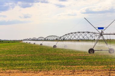 Bir alanda geniş tarımsal sulama sistemi