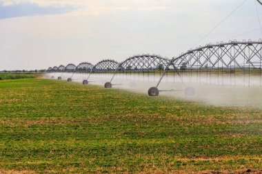 Bir alanda geniş tarımsal sulama sistemi