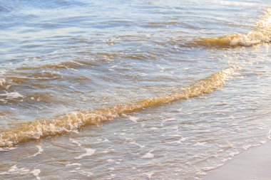 Kumlu sahilde yumuşak bir deniz dalgası