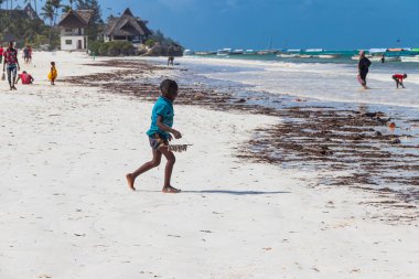 Matemwe, Zanzibar, Tanzanya - 22 Eylül 2021: Hint okyanusunda deniz mahsulleri yakalayan Afrikalı çocuk Zanzibar, Tanzanya 'daki Matemwe plajında