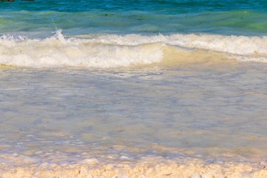 Kumlu sahilde Hint okyanusunun yumuşak dalgaları