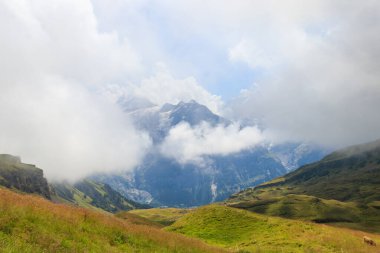 Sis kaplı İsviçre Alpleri. İsviçre 'ye seyahat
