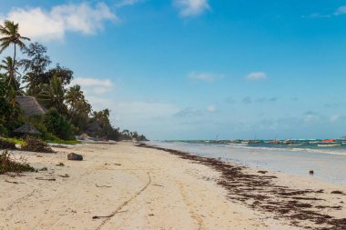 Tanzanya, Zanzibar 'daki tropikal kumlu Matemwe plajı manzarası