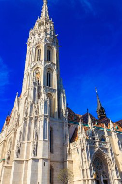 Buda Kalesi Varsayımı Kilisesi, Macaristan 'ın başkenti Budapeşte' deki Kutsal Üçleme Meydanı 'nda yer alan bir Katolik kilisesidir.