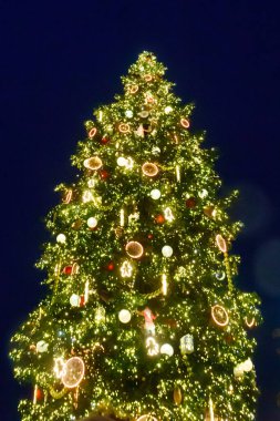 Strazburg, Fransa 'da aydınlatılmış ve süslenmiş Noel ağacı