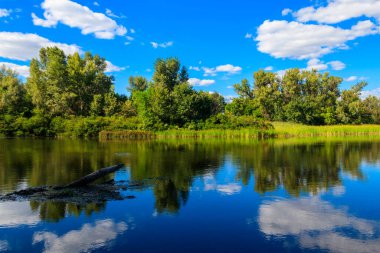 Güzel bir nehir, yeşil ağaçlar ve mavi gökyüzü olan yaz manzarası